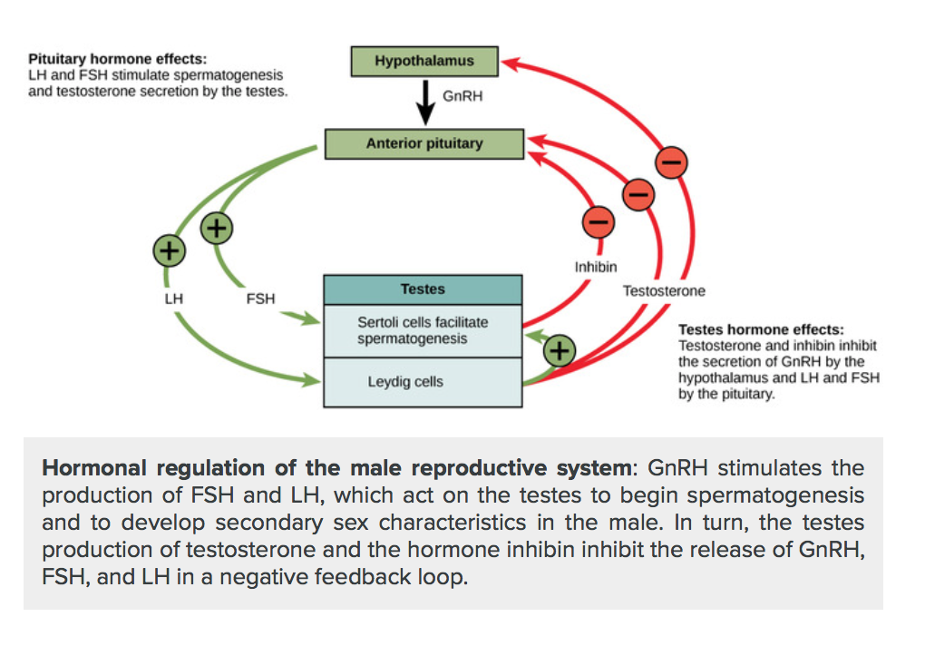 Screen Shot 2018-03-04 at 12.07.07 pm